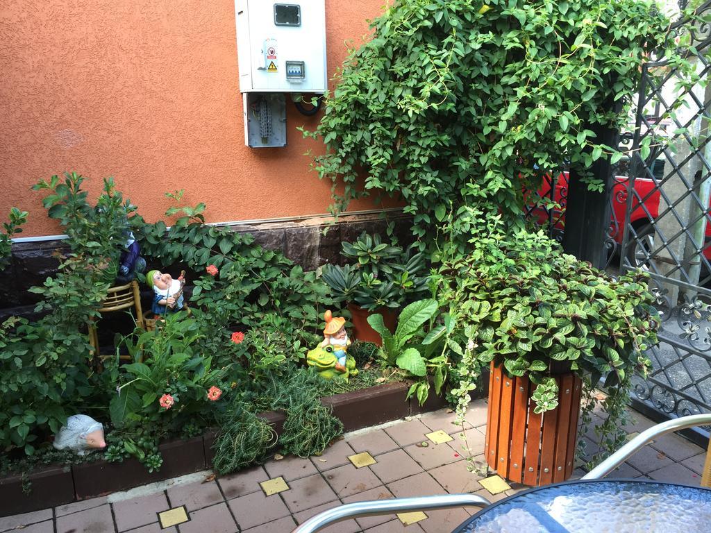 Casa Belazur Hotel Deva Buitenkant foto
